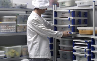 Consejos para una óptima conservación de los alimentos en una cámara frigorífica