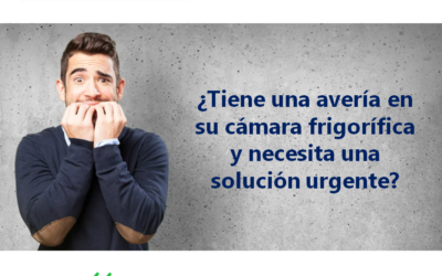 Avería en cámara frigorífica: solución urgente para no perder tu negocio